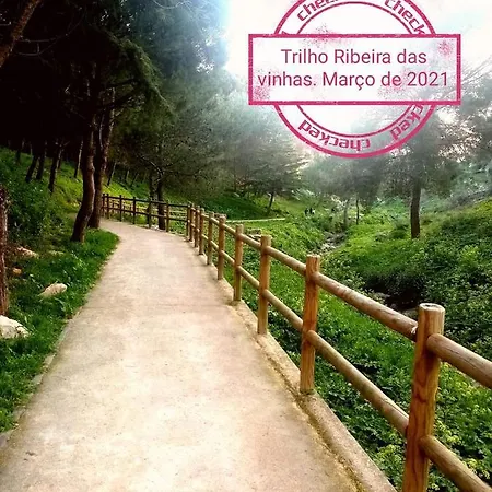 Апартаменты Lindo - Centro Кашкайш